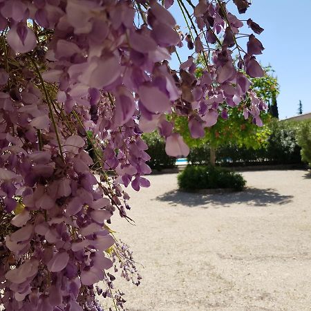 La Pastorale Bed & Breakfast Lagnes Luaran gambar